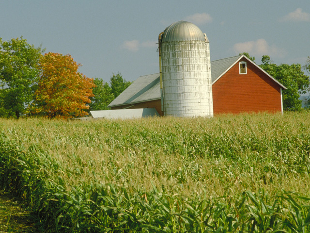 Farms passed on to heirs would be exempt from President Joe Biden&#039;s plans to cap stepped-up basis when heirs continue to run the family farm. They would more than likely face capital-gains taxes on increases in land value when they sell the farm, though. (DTN file photo)