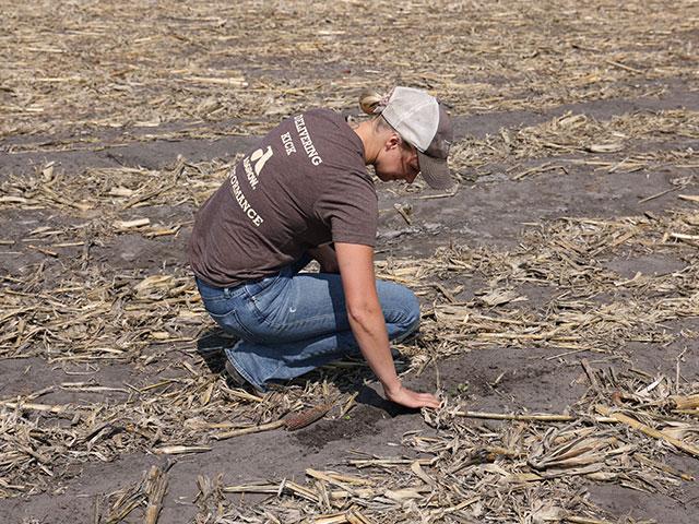 The soybeans Chandra Langseth planted a week ago are just beginning to emerge in a field that has been mechanically rolled. She farms near Barney, North Dakota, with her husband, Mike. (DTN photo by Pamela Smith)