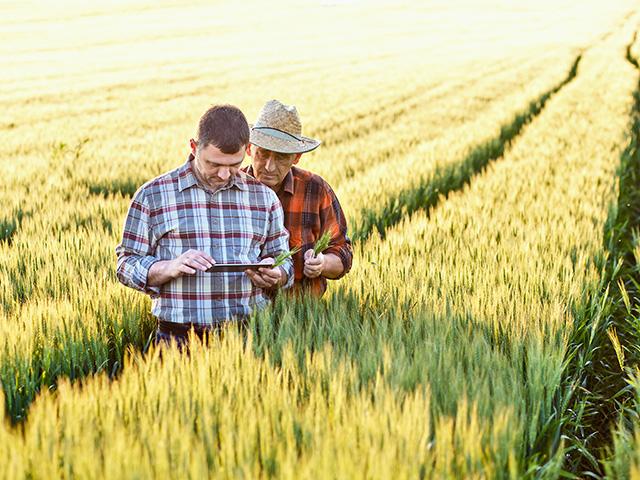 Precision agriculture is just one area that demands higher broadband download and upload speeds. USDA on Thursday released $502 million through its ReConnect Program for 32 broadband projects in 20 states. (DTN/The Progressive Farmer image by Getty Images) 