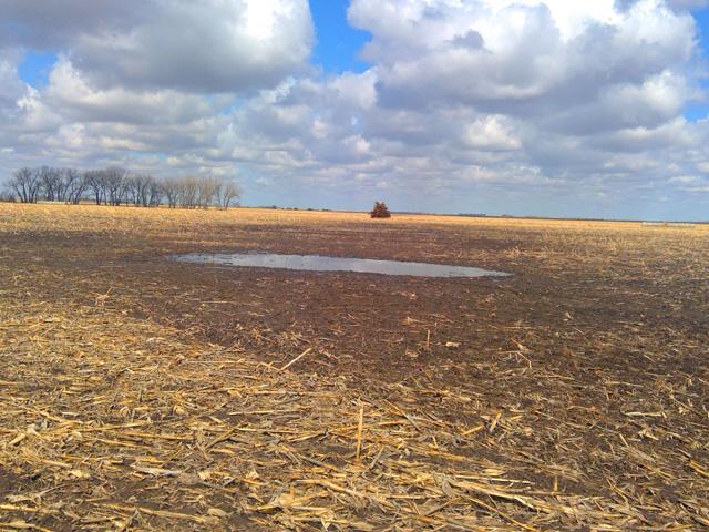 South Dakota farmer Arlen Foster sued USDA this week after the agency didn&#039;t consider new evidence showing a puddle on his farm is an artificial wetland, not subject to the Clean Water Act. (Photo courtesy Pacific Legal Foundation)