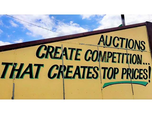 Video auctions have opened the door to new marketing options and thrive on selling load lots, but they aren&#039;t conducive to small producers or single-head transactions. (DTN photo by ShayLe Stewart) 