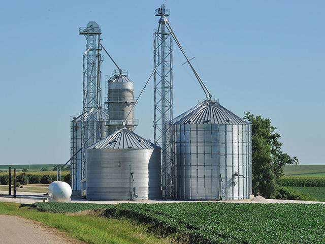 Farmers need to follow safety practices when working with stored grain. In 1980, most grain bins on farms could only store around 3,000 bushels. Today, grain bins can store 50,000 to 60,000 bushels. (DTN file photo by Jim Patrico)