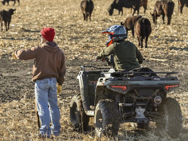 With an opportunity lingering for cattlemen to finally gain the upper hand in the market, it&#039;s also important that cattlemen check in on the market over the span between Thanksgiving and the New Year. (Photo by Jim Patrico)