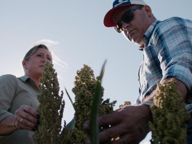 Sorghum holds a prominent place in the crop rotation for Amy and Brant Peterson of Johnson, Kansas, who were named the Bin Buster winners in the 2022 National Sorghum Yield Contest. (Photo courtesy of National Sorghum Producers)