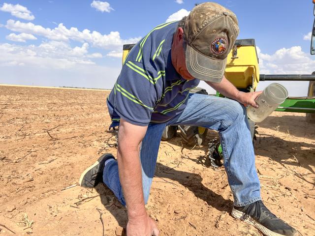 Bryan Baker digs into soil at his farm near Sudan, Texas. Baker said his farm about an hour northwest of Lubbock hasn&#039;t had any significant rainfall since last August. Like a lot of other producers, Baker is planting more cotton but doesn&#039;t know if he&#039;ll get enough rain to take advantage of higher prices. (DTN photo by Chris Clayton)