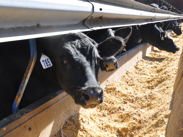 Choice boxed beef prices are up 31% since early March, but June live cattle futures have fallen about 2.5% over the same period. The situation has renewed calls for the Department of Justice to hold congressional hearings on packer concentration. (DTN file photo)