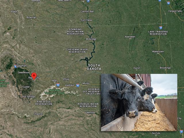 A South Dakota-based rancher&#039;s plan to build an 8,000-head-a-day beef packing plant outside of Rapid City, South Dakota, is still in the research and development stage. City and county officials haven&#039;t seen the plans, but a ranching organization supports the project, and Farmers Union Industries is looking to partner to handle byproducts from the plant. (DTN photo illustration by Nick Scalise)