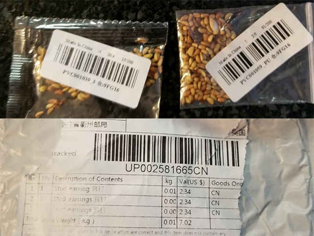 Packages containing seeds and arriving from China should be not be planted or discarded. If you receive any seeds, report it to authorities.