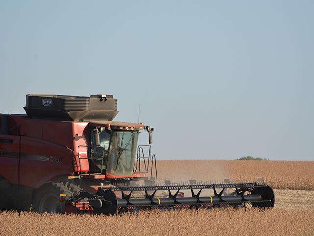 A farmer harvesting soybeans this week in Boone County, Iowa. A look at ARC-County data for the 2022-23 crop shows no ARC payments for corn or soybean crops in Iowa, as well as Illinois, Indiana or Minnesota. (DTN photo by Chris Clayton) 