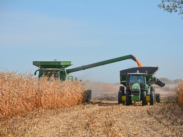 A farmer harvests corn in Minnesota, where -- as in many states this fall -- harvest has sped ahead of the five-year average, giving farmers a welcome break from a string of wet, delayed falls. (DTN photo by Matthew Wilde)