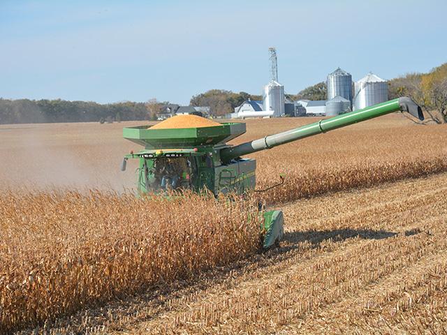 Mexico bought 16.8 mmt of U.S. corn last year, but Mexican President Andres Manuel Lopez Obrador introduced a decree to ban biotech crops. Agriculture Secretary Tom Vilsack visited Mexico on Monday, emphasizing the increasing concern among farmers and the Biden administration over the Mexican policy. (DTN file photo by Matt Wilde) 