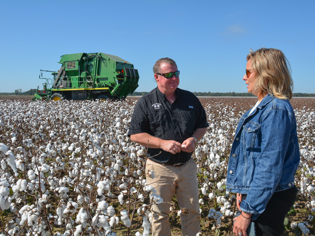 Cotton farmer Justin Cariker discusses BASF&#039;s e3 Cotton Sustainability Program he&#039;s enrolled in with Jennifer Crumpler, head of seed sustainability and fiber development manager for the company. A picker harvests Cariker&#039;s cotton near Dundee, Mississippi, as he and Crumpler talk about program premiums and the new grower fund. (DTN photo by Matthew Wilde)