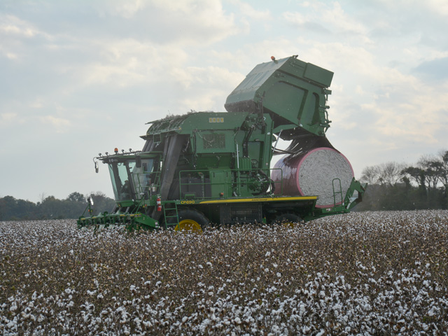 A nearly 3-ton bale of freshly picked cotton rolls out the back of a John Deere harvester at Wolf Lake Farms near Clarksdale, Mississippi, on Oct. 11. The bale is dropped at the end of the turn row, which will be staged for pickup by a truck and hauled to a nearby gin for processing. (DTN/Progressive Farmer photo by Matthew Wilde)