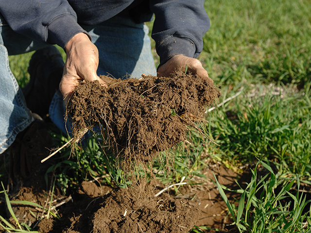 Soil health practices and other measures that increase carbon sequestration or reduce emissions will see funding boosts through EQIP, CSP and other USDA conservation programs under the Build Back Better Act. Other provisions will help with biofuel infrastructure and tax credits. (DTN file photo)