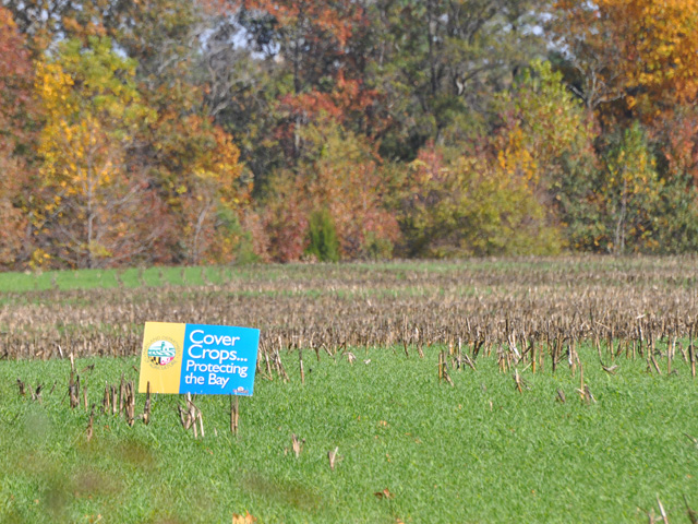 The Build Back Better bill included provisions to pay farmers to increase climate-smart practices on their farms that sequester carbon and lower emissions, such as planting cover crops. Other provisions in the bill also help boost biofuels. (DTN file photo)