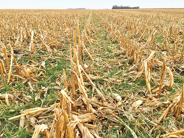 The House budget reconciliation bill, which passed Friday, would spend roughly $27.1 billion for USDA conservation programs. The funds would primarily pay farmers to increase climate-smart practices on their farms that sequester carbon and lower emissions. The White House stated the climate-smart programs could reach as many as 130 million crop acres. (DTN file photo)