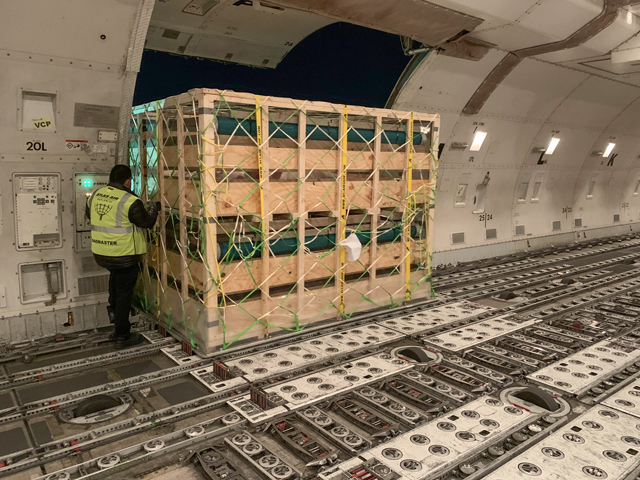 A crate with breeding hogs is loaded into the belly of a 747 cargo plane at St. Louis Lambert International Airport. Airport staff have spent time this summer at major cattle and pork convention meetings to promote the airport&#039;s Livestock Export Center, which opened last year. (Photo courtesy of St. Louis Lambert International Airport) 