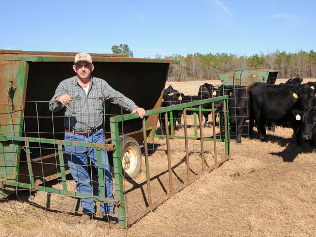 Lindy Sheppard may creep feed calves from first-calf heifers, but it&#039;s a decision based on economics and forage conditions from one year to the next. (PF photo by Becky Mills)