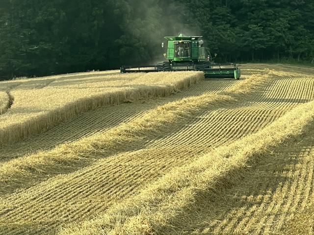 Wheat yields were bountiful for Ohio farmer Luke Garrabrant this year. Rain fell before he could get all the straw baled, but he wasn&#039;t complaining as the corn needed rain. (Photo courtesy of Luke Garrabrant)