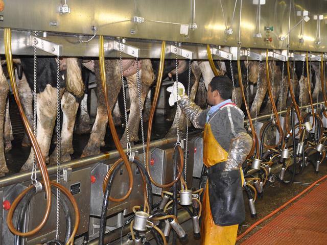 USDA announced this week that it will soon implement the Dairy Donation Program. (DTN file photo by Urban Lehner)