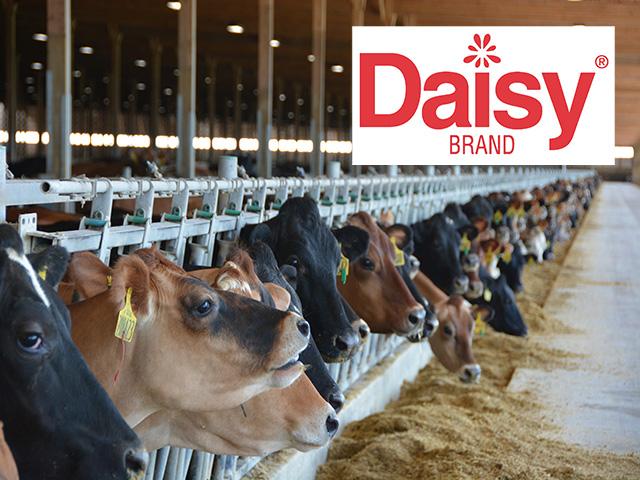 Daisy Brand to Invest in Iowa Dairy Processing Plant
