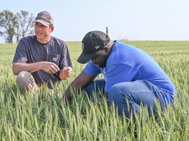 Farmer Justin Knopf (left) and Micaela Nana, agricultural marketing specialist for USDA-Agricultural Marketing Service, examine a Kansas wheat field Tuesday during the 2022 Wheat Quality Council&#039;s Hard Winter Wheat tour. (DTN/Progressive Farmer photo by Matthew Wilde)