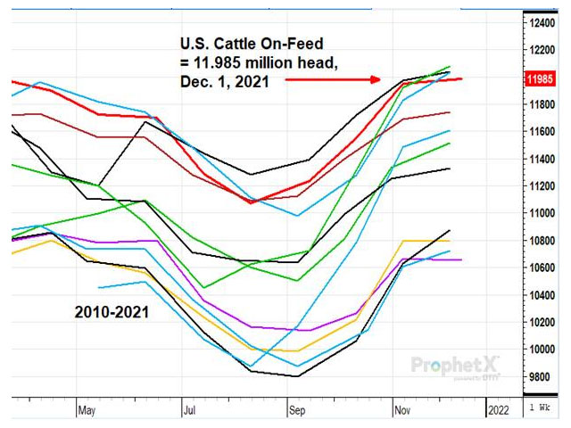 Cattle and calves on feed for the slaughter market in the United States for feedlots with capacity of 1,000 or more head totaled 12.0 million head on Dec. 1, 2021, according to USDA NASS. (DTN ProphetX chart)