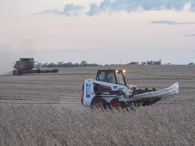 Mike Ihle combined a field of lodged soybeans just east of Madrid, Iowa, on Sept. 23 as one of his employees picked up debris with a grapple bucket on a Bobcat. The August derecho littered the field with tin, wood with nails in it and other material causing periodic breakdowns. (DTN photo by Matthew Wilde)