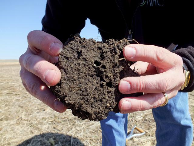 Soil health practices on the farm are the key to farmers benefiting from carbon markets. An Iowa farmer explained during the DTN Ag Summit the importance of focusing on practices that improve profitability before enrolling in a carbon program. (Photo courtesy of USDA Natural Resources Conservation Service)