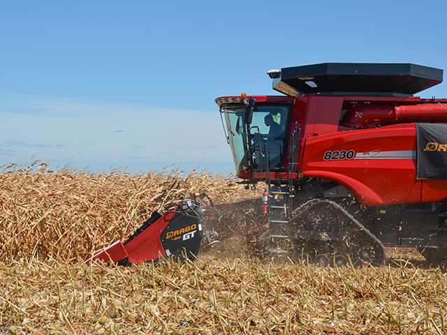 A Drago GT corn head made by Dragotec USA, based in Fenton, Iowa, gathers in down and lodged corn during a harvest demonstration at a recent farm show in Boone, Iowa. (DTN/Progressive Farmer photo by Matthew Wilde)