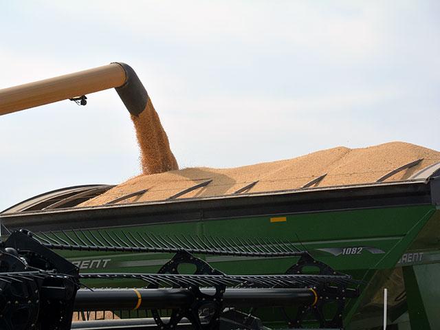 Bumper crops from the 2021 season, like this jam-packed soybean cart in Iowa, have been overshadowed by the looming costs of the 2022 crop, DTN Farm Advisers told DTN. (DTN photo by Matthew Wilde)