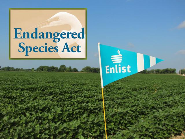Enlist acres may grow in the future after a federal wildlife agency said the herbicide&#039;s registration doesn&#039;t threaten endangered species. (DTN file photo)