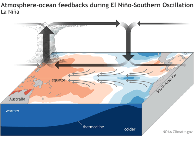 Elements leading to more precipitation in the western Pacific and a drier pattern in the eastern Pacific tend to reinforce each other during a La Nina event. (NOAA graphic)