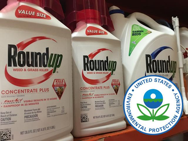 The Biden EPA asked a federal court for a chance to review and possibly revise parts of its interim registration decision for glyphosate, a herbicide most commonly known as Roundup (DTN file photo by Pamela Smith; EPA logo)