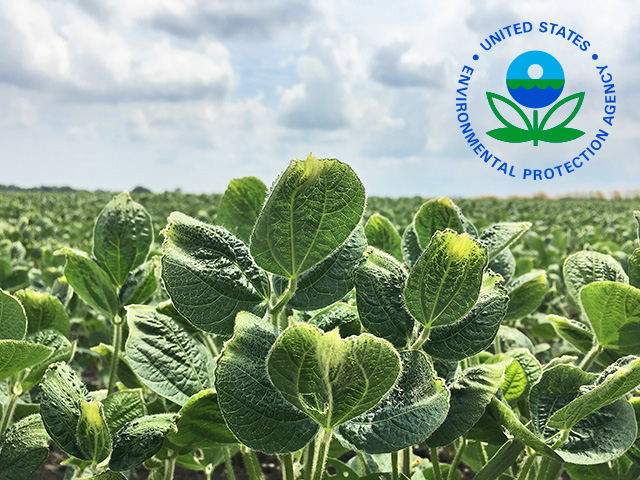 EPA is reviewing dicamba injury reports from the 2021 spray season and demanding dicamba registrants send the agency more information on alleged adverse effects of the herbicide. (DTN file photo by Pamela Smith)