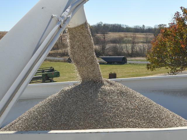 Dry fertilizer is getting ready for fall applications in this photo last year from Missouri. Fertilizer prices this year are 60% to 85% higher, depending on the product. China, the world&#039;s largest phosphate exporter, has frozen exports through June. That&#039;s going to have a ripple effect across global fertilizer markets. (DTN photo by Jim Patrico) 