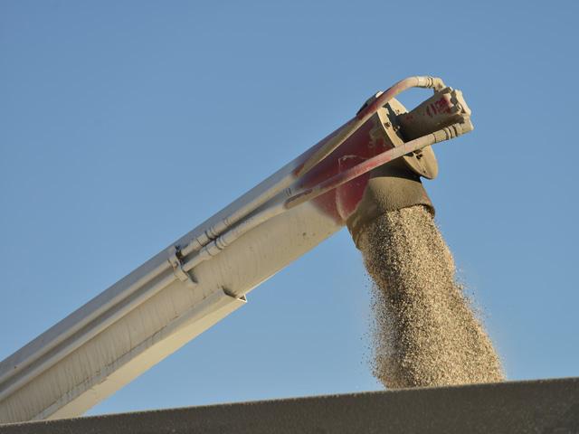 Several agricultural organizations are requesting USDA make policy changes so farmers are not subject to high fertilizer prices. (DTN/Progressive Farmer file photo by Jim Patrico)