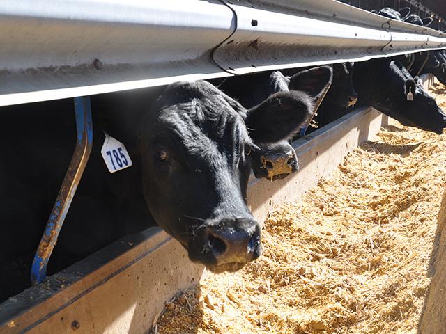 Following concerns raised by cattlemen&#039;s groups, USDA is creating new daily and weekly reports that will draw out more of the national average prices for cattle sold on formulas and grids to packers. (DTN file photo by Chris Clayton)