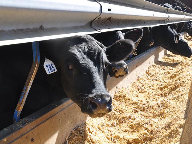 A minority stake in a new packing plant project in North Platte, Nebraska, will give Walmart a more secure supply of beef. As more independent packer projects develop, ties to retailers will help ensure they have market access. How producers make out long-term with this kind of vertical integration with retailers remains to be seen. (DTN photo by Chris Clayton)