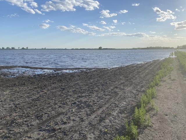 A flooded field in southwestern Minnesota from earlier in June. While there are always prevented-planting acres, a late planting window may have minimized the lost acres this year. USDA also will allow farmers to plant a cover crop on those fields that can be grazed or hayed at any time. (Photo courtesy of Chris Johnson)