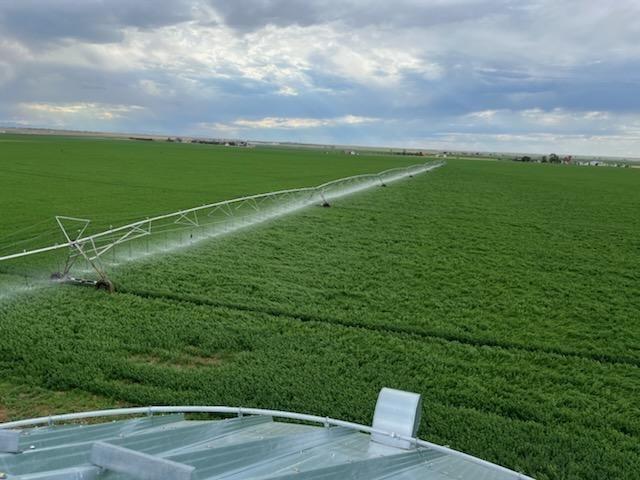 An alfalfa field gets a much-needed drink in eastern Colorado. Water is life where DTN View From the Cab farmer Marc Arnusch farms near Keenesburg. (Photo courtesy of Arnusch Farms)