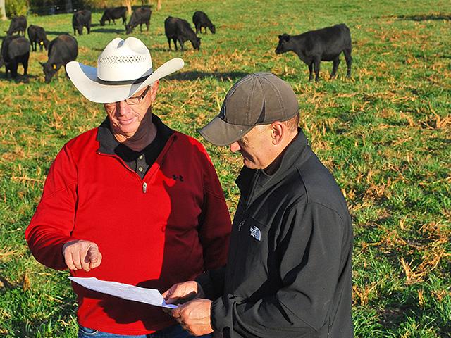 A veterinarian-client-patient-relationship (VCPR) will be required beginning in June for livestock producers to be able to get a prescription to purchase antimicrobials that have been available over the counter. (DTN/Progressive Farmer file photo)