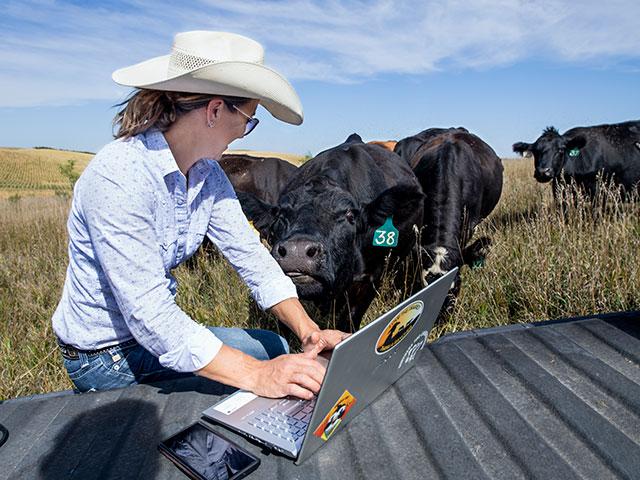 For producers wondering if any of the value-added niches will pay off, a good way to research prices is through online sales platforms. (DTN/Progressive Farmer file photo)
