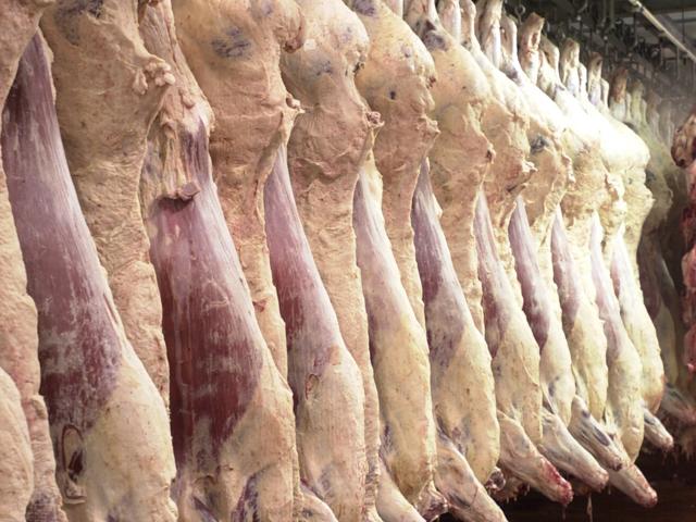 The White House will start off 2022 by rolling out plans to expand meat processing and tighten up rules for the country&#039;s largest packing plants. The Biden administration will release funds this year to expand packing capacity and help increase the work force at packing plants. (DTN file photo) 
