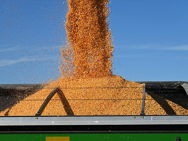 The state of Nebraska suspended the grain dealer license for Hansen-Mueller Co. after 38 farmers reported they were not paid by the company for delivering grain. (DTN file photo)