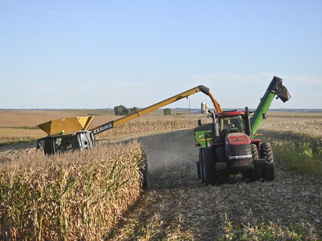 Phillip Meyer combines corn south of Garnavillo, Iowa, on Sept. 22. Tom Whittle, an employee of Meyer Farms, operates the grain cart. Strong basis levels prompted Meyer to harvest and dry corn down from 26% to 15%, so it can be sold to area ethanol plants and feed mills. (DTN photo by Matthew Wilde)