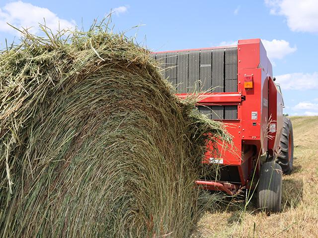 Continuing drought is having a negative effect on forage production in parts of Nebraska and Kansas. Because of this, hay prices are expected to stay elevated longer term. (DTN photo by Elaine Shein)