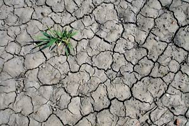 USDA's emergency rules are intended to expedite the claims process in areas affected by extreme drought.  (DTN File Photo) 