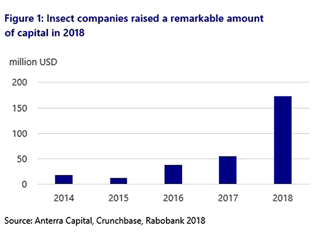 Animal feed is a key growth area for insect protein and is one reason capital continues to pour into the sector. (Chart courtesy of Rabobank 2021)
