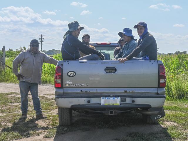 Juan Pena, (seated at left) takes a break with other farmworkers in a field in southeast Iowa in late July. Their crew leader, standing, said summers have gotten hotter over the years. (Photo by Sky Chadde of Investigate Midwest)